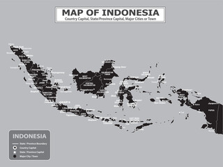 Fototapeta premium Geography politics map of countries. Map of country with capital, province or state capital, major cities and town.