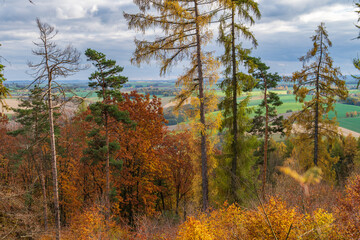 Fototapeta premium Autumn in Johannapark, this is an 11 hectares (27 acres) park near the city center in Leipzig.