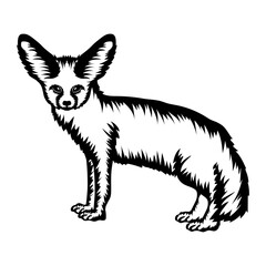 Fennec Fox