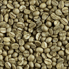 リアルな生豆（グリーンビーンズ）コーヒーパターン