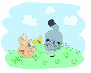 Pallas's cat and sand cat playing in a clearing