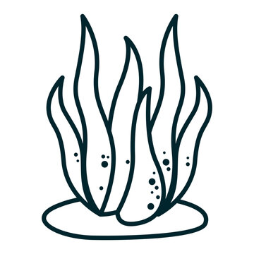 recommend clip art: Doodle algae Seaweed vector icon	
                    