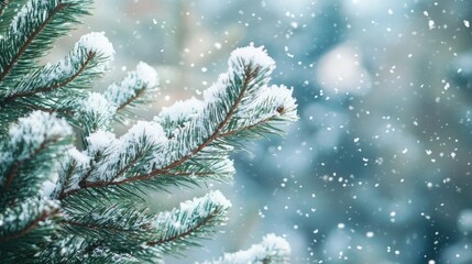 Snow-covered pine branches in a serene winter forest setting, with soft snowflakes falling in the background.