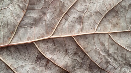 Detailed leaf close up wallpaper