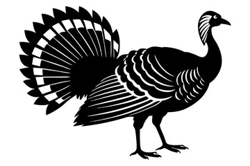Wild turkey silhouette vector illustration 
