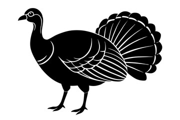 Wild turkey silhouette vector illustration 
