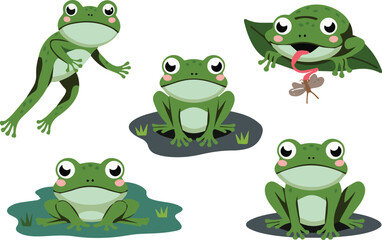 set of adorable frog characters vector illustration on a white background 
