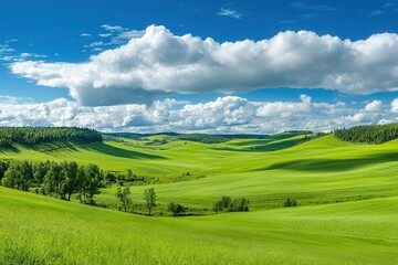 Lush green landscape under a bright sky during Midsommar in Sweden.