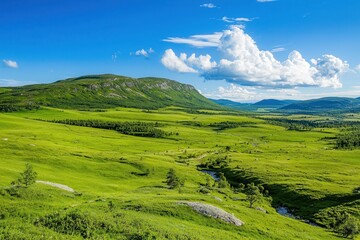 Fototapeta premium Lush green landscape under a bright sky during Midsommar in Sweden.