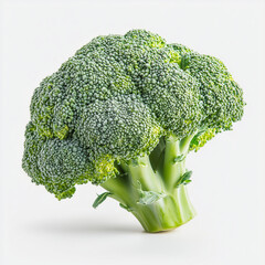 Fresh Broccoli on White Background