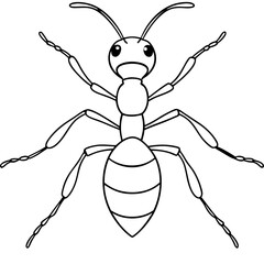 Ant