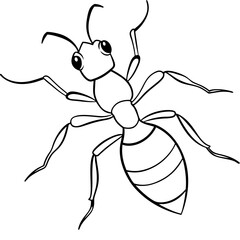 Ant
