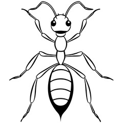 Ant