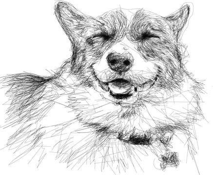 dog outline  sktch scribble art