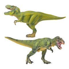 green tyrannosaurus on white background