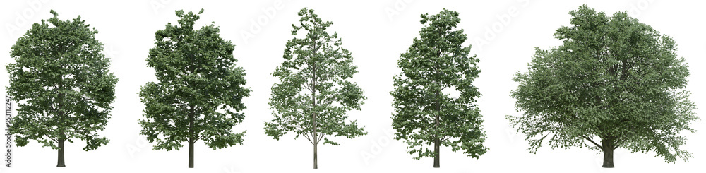 Poster collection of realistic large woods trees with isolated on transparent background. png file, 3d rend