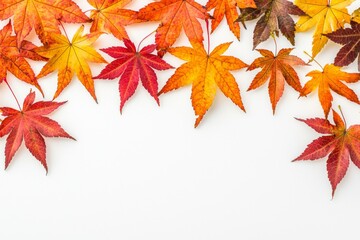 Autumn Maple Leaves Flat Lay White Background created with Generative AI