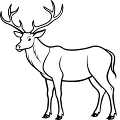 Elk