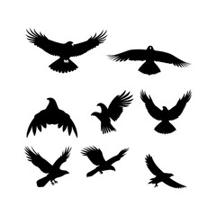 Obraz premium Eagle Silhouette set vector illustration