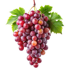 Fototapeta premium hanging branch red grapes isolated on a white background