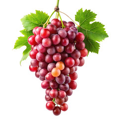 Fototapeta premium hanging branch red grapes isolated on a white background