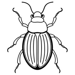 Collection of high detailed insects sketches. Hand drawn beetles illustrations in vintage style. Entomological drawings set. Beetles outlines for monogram, banner, poster, tattoo, cards design.