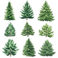 Obraz premium christmas trees set