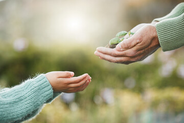 Hands, people and plants for earth day, future sustainability or climate change hope. Closeup, leaf...