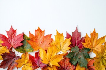 Fototapeta premium Autumn Maple Leaves Flat Lay White Background created with Generative AI