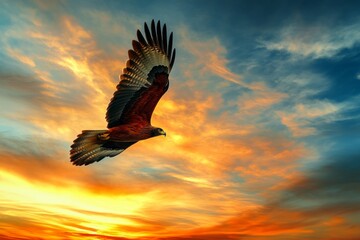 Fototapeta premium A majestic eagle soars through a vibrant sunset sky. The orange and blue hues create a stunning backdrop. Perfect for nature lovers. Generative AI