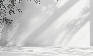 White background with shadows of leaves on the wall and floor.