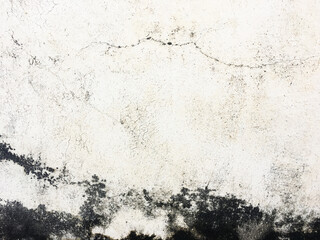 dark grunge background. Modern futuristic painted wall for backdrop or wallpaper with copy space. Close up image