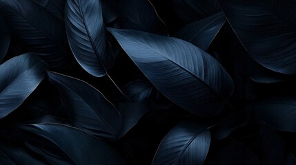 Fototapeta premium Dark, lush foliage featuring deep blue-green leaves creating a serene and tranquil atmosphere.