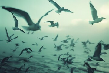 Obraz premium A group of seagulls in flight over the open ocean, possibly searching for food or soaring through the air