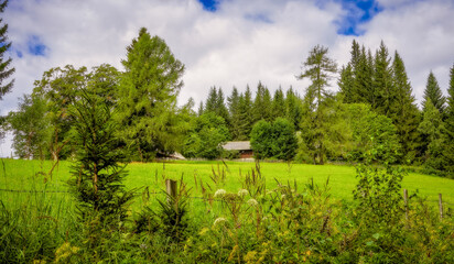 landscape with trees and old farm, Waldheimat, Styria, Austria, Europe, August 2024