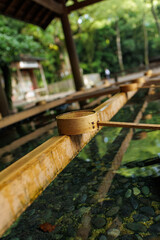 Bamboo Ladles at Water Basin in a Shinto Shrine
