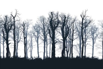 A black and white photo of a group of trees standing tall in nature