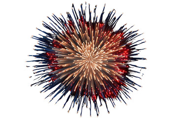 Obraz premium A close-up shot of a single firework exploding isolated on white background
