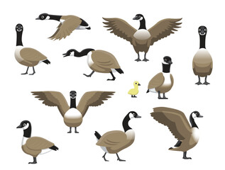 Canada Goose Various Poses Funny Cartoon Vector Character Illustration © bullet_chained