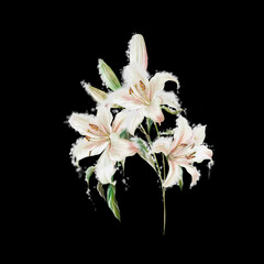 Lily bouquet  in snow, wintern set.