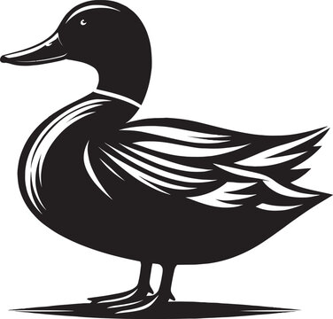 recommend clip art: Duck Silhouette isolated on white background Minimalist duck vector illustration
