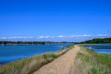 Obraz premium footpath along the Solent Way at Warsash Hampshire England