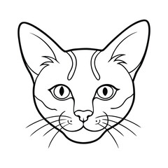 illustration of a cat