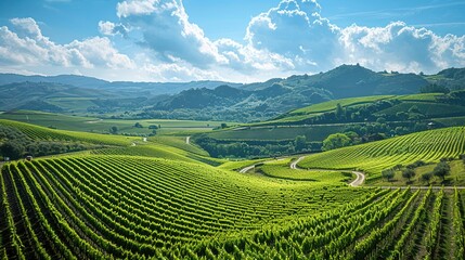 Fototapeta premium Hills and mountain wallpaper