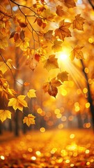 Autumn leaves bathed in warm sunlight with a soft, golden background