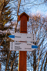 Ścieża rowerowa Muszyna,