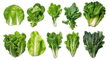 Green Leafy Vegetables Collection.