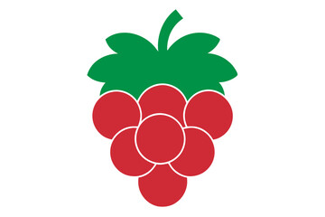 raspberry with leaves