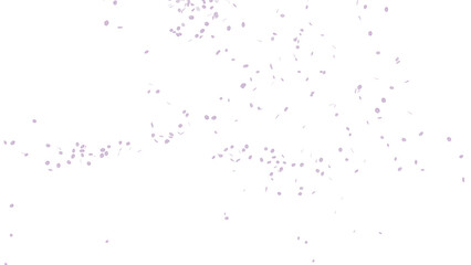 桜吹雪：桜の花びらイラスト	