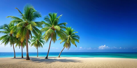 A serene summer concept featuring coconut trees, beach sand, and a blue background